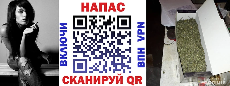 Каннабис Amnesia  Сенгилей 